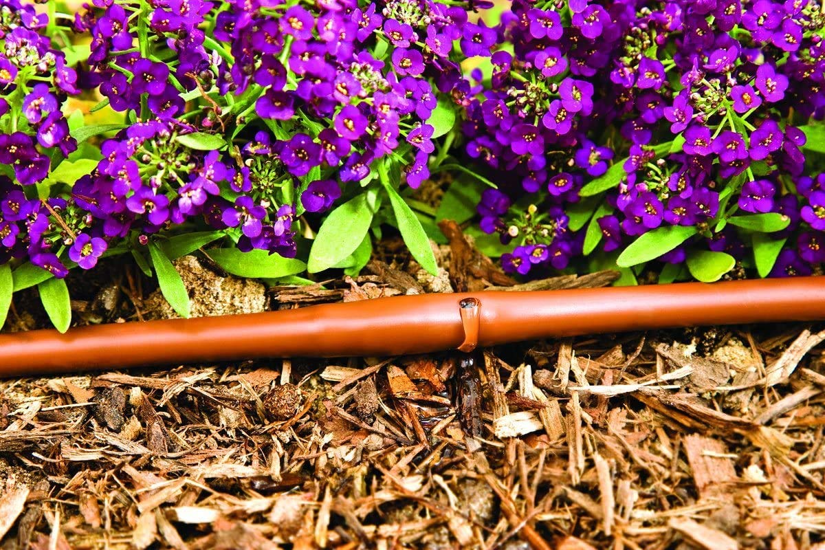 One Stop Outdoor dripline 1/4-inch emitters 6-inch spacing ensures steady watering.
