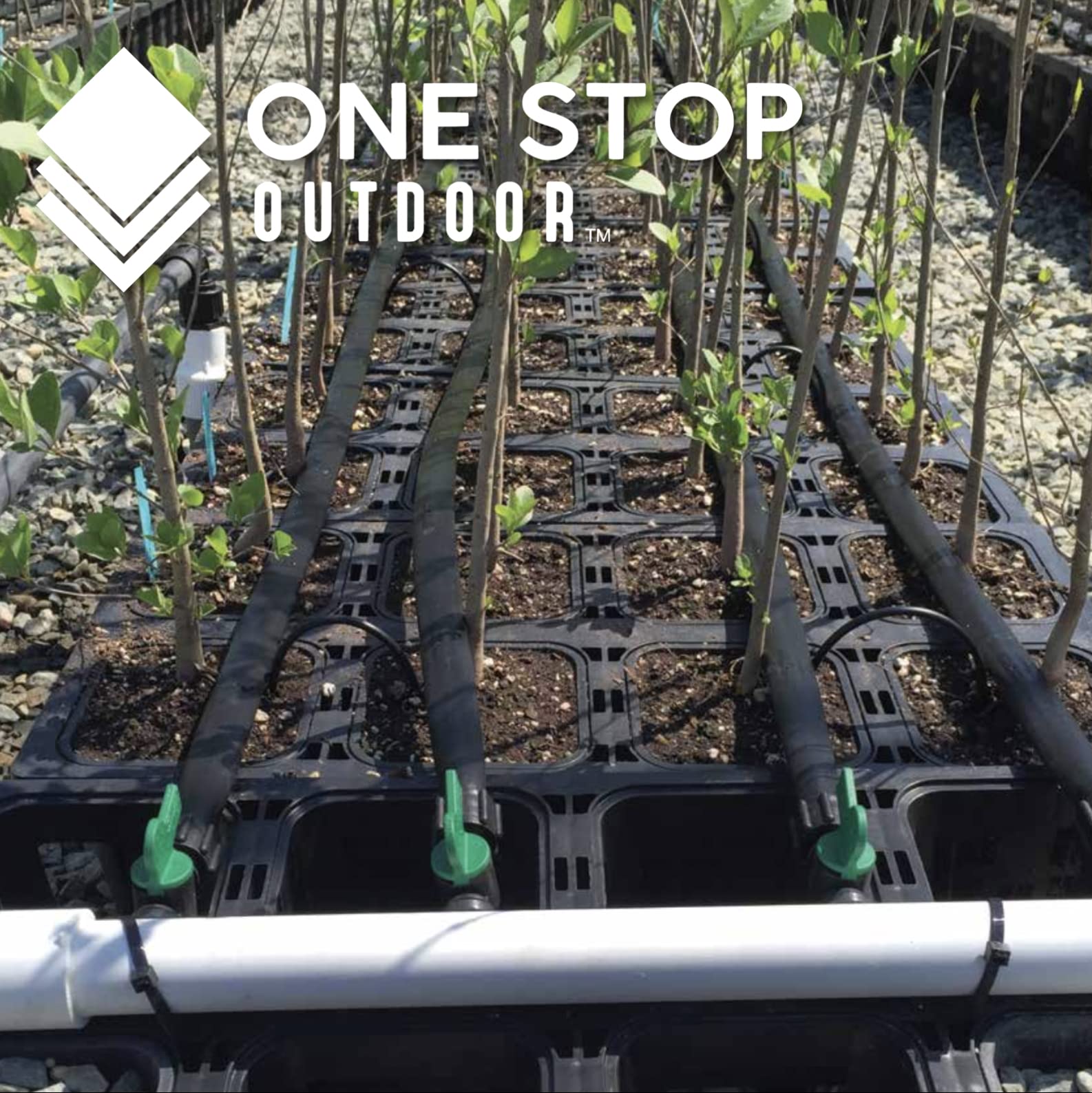 One Stop Outdoor 6-inch stake in a greenhouse container irrigation setup.