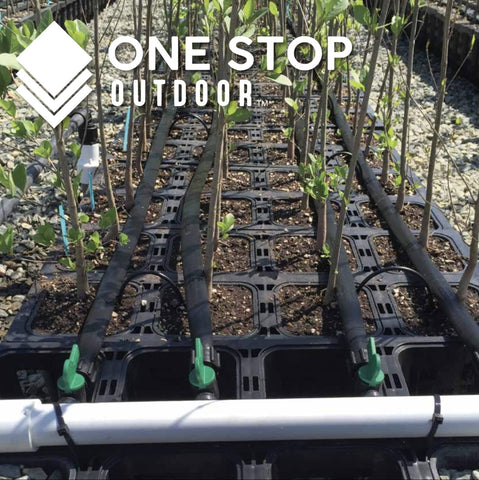 One Stop Outdoor 6-inch stake in a greenhouse container irrigation setup.