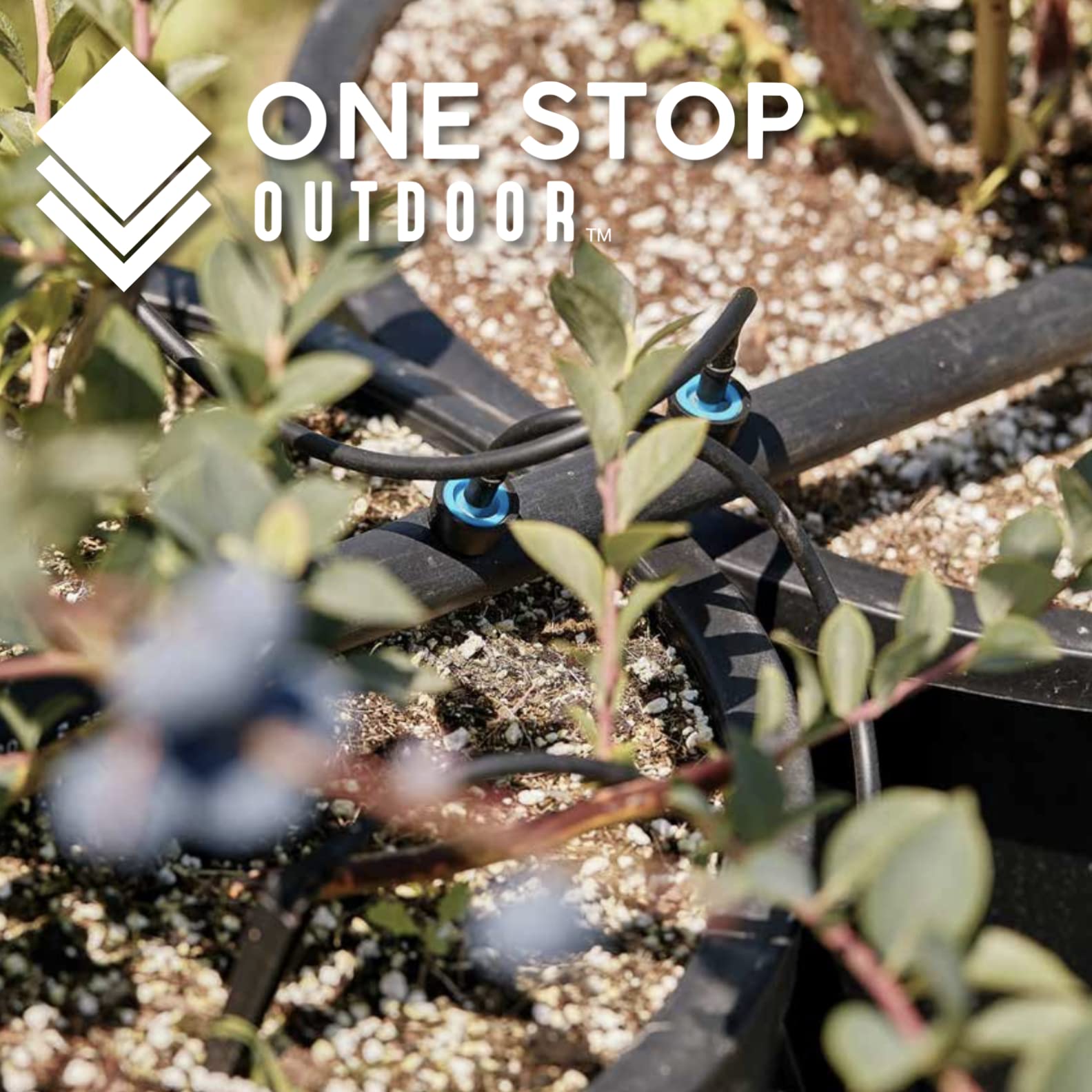 One Stop Outdoor hydroponics setup using a drip stake for consistent root watering.