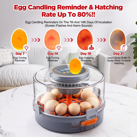 Brooding mode on the OneAmg incubator highlights post‑hatch warmth capability.