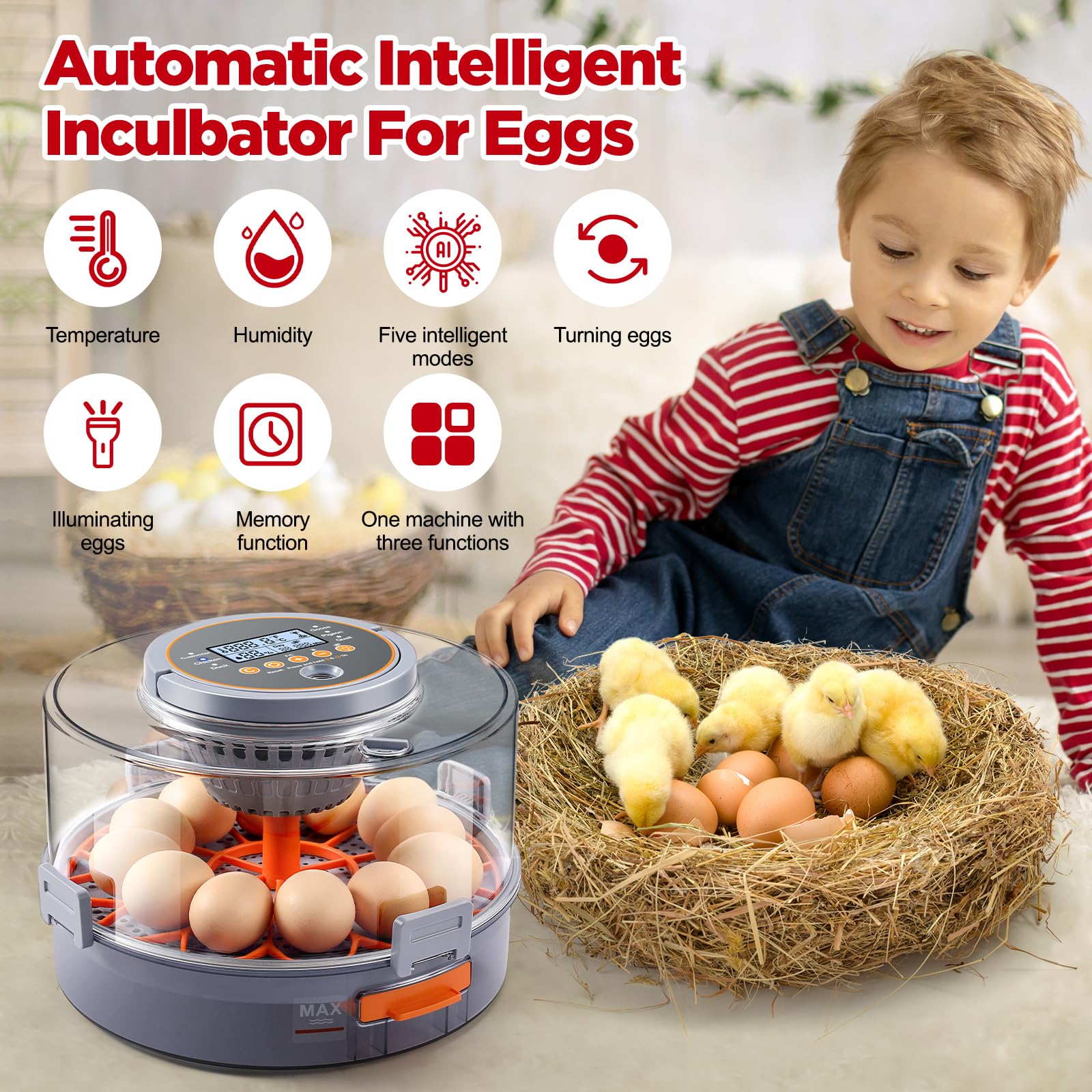 Capacity illustration of OneAmg incubator for 12 chicken/duck or 40 quail/pigeon eggs.