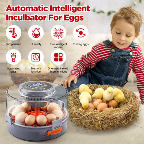 Capacity illustration of OneAmg incubator for 12 chicken/duck or 40 quail/pigeon eggs.