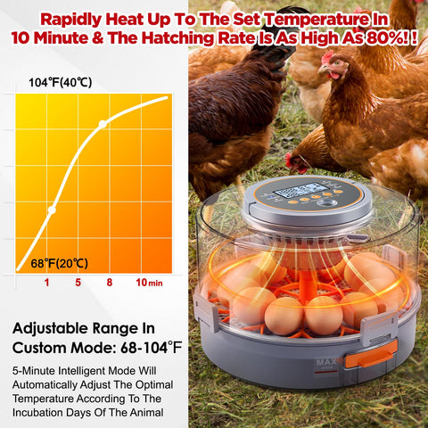 Inside view of the OneAmg incubator layout for egg placement and airflow.