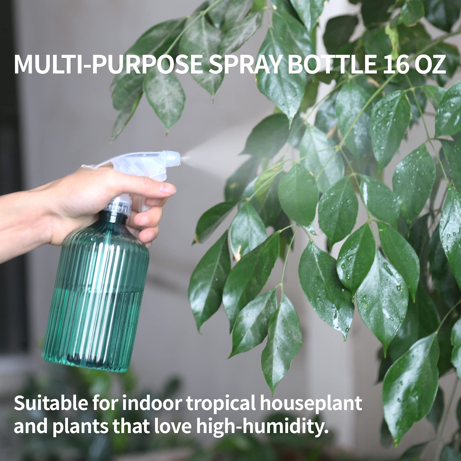 ONEDONE plant mister spray bottle delivers humidity-boosting mist for tropical plants.