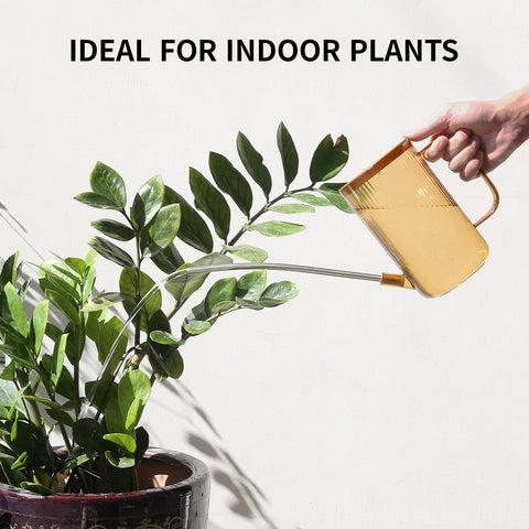 ONEDONE 34oz watering can helps water multiple indoor plants without frequent refills.