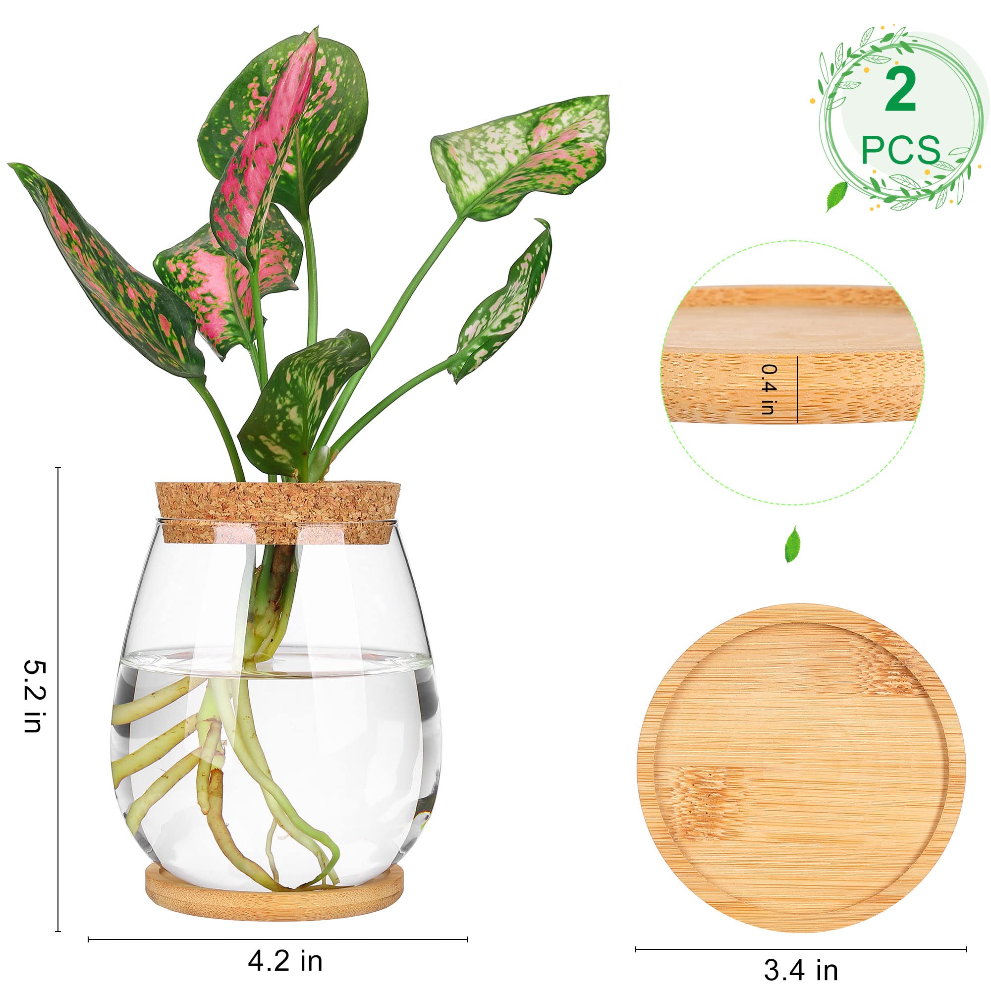 onepeng hydroponic glass planter for immersive plant care and rooting observation