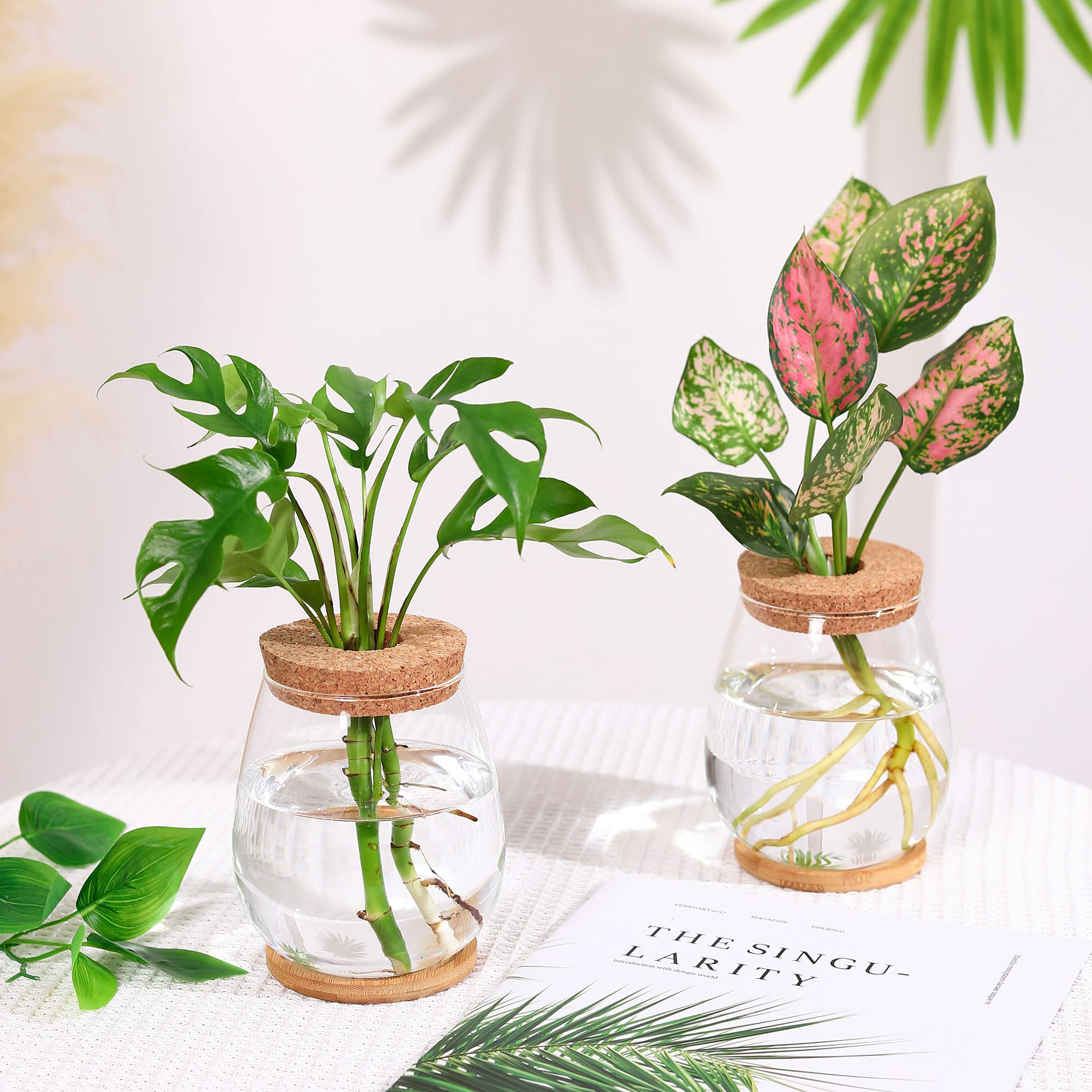 onepeng plant propagation station display on desk enhances green decor and plant care