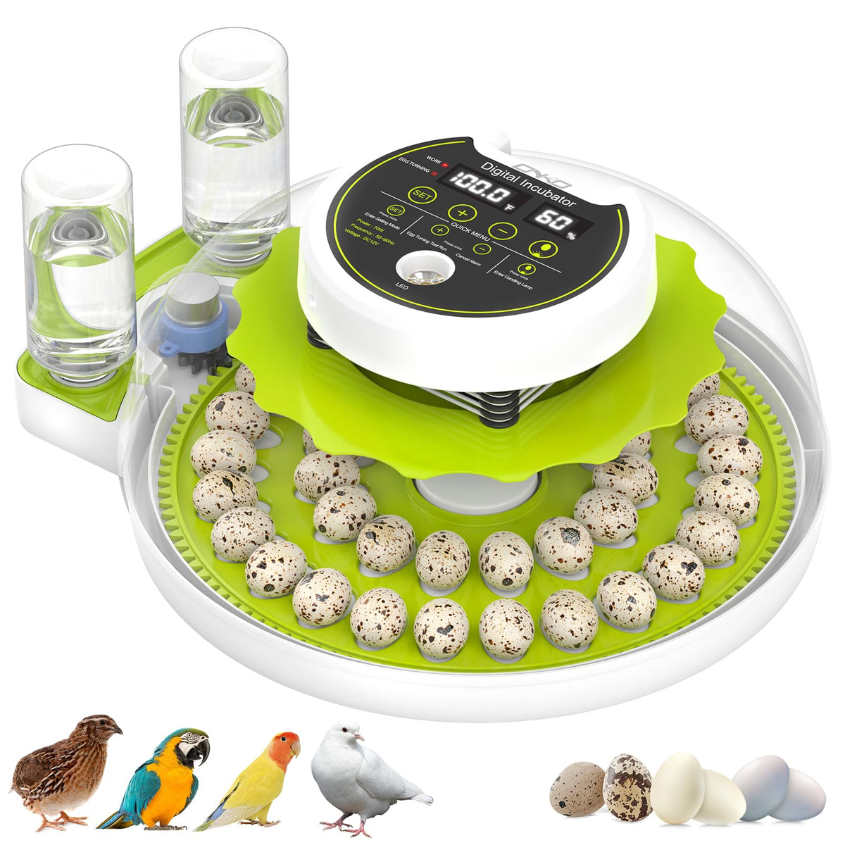 ONKO quail incubator with 40-egg capacity and clear digital display
