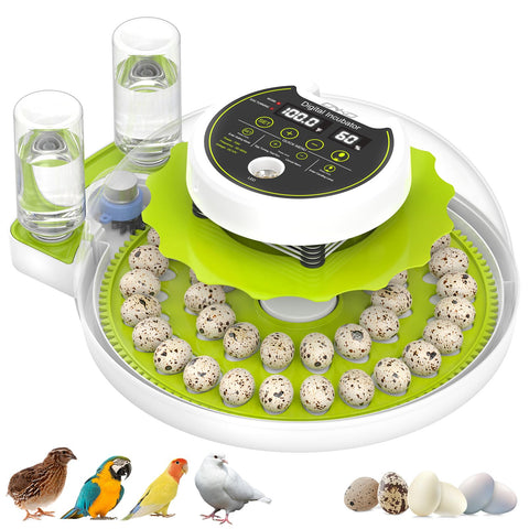 ONKO quail incubator with 40-egg capacity and clear digital display