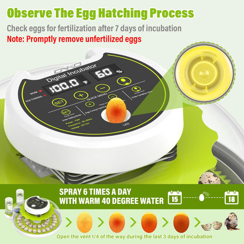 ONKO incubator provides 360-degree transparent view of egg development
