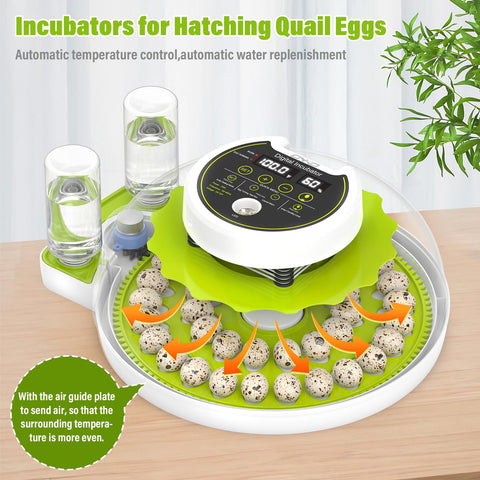 ONKO incubator with automatic turner enables hands-free turning for even development