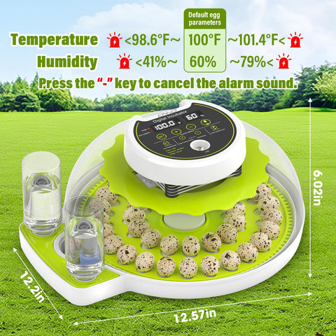 ONKO quail incubator maintains humidity with automatic water supply feature