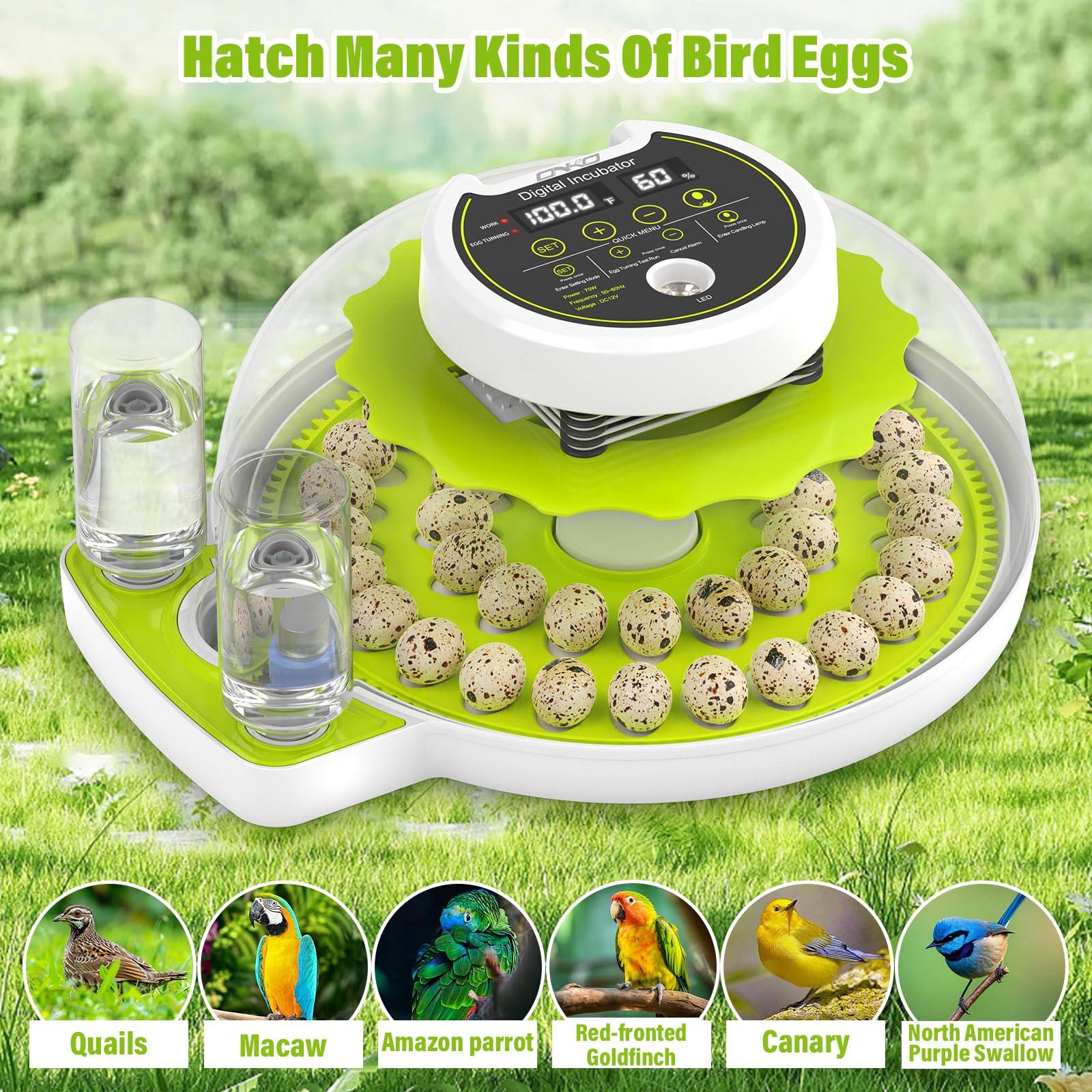 ONKO outdoor-ready incubator suitable for quail, parrots, and canaries