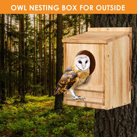 ONKO round entrance hole design protects nestlings from predators while allowing access.