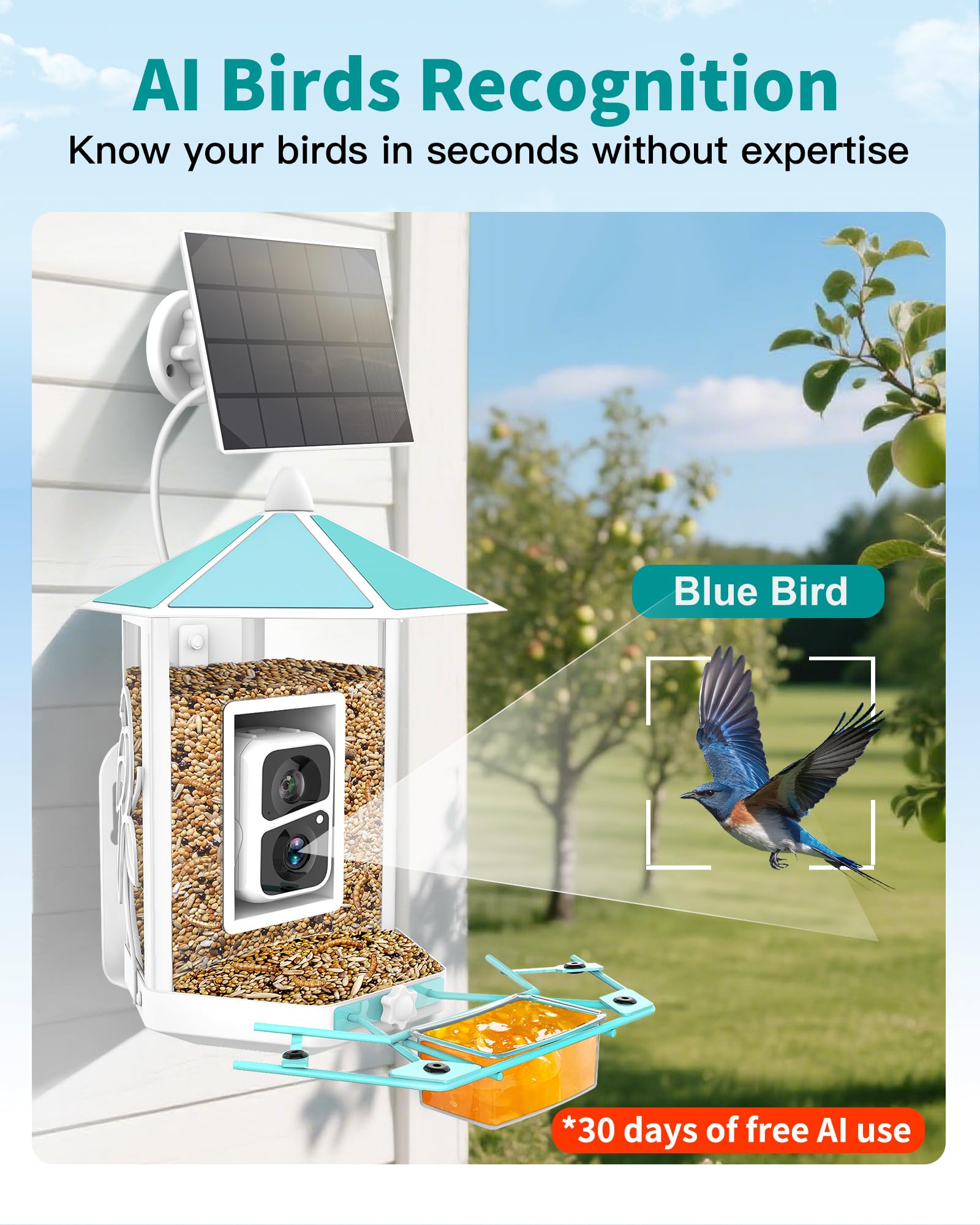 OnlyFly AI bird identification feature highlights quick species notes.