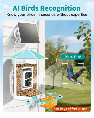 OnlyFly AI bird identification feature highlights quick species notes.