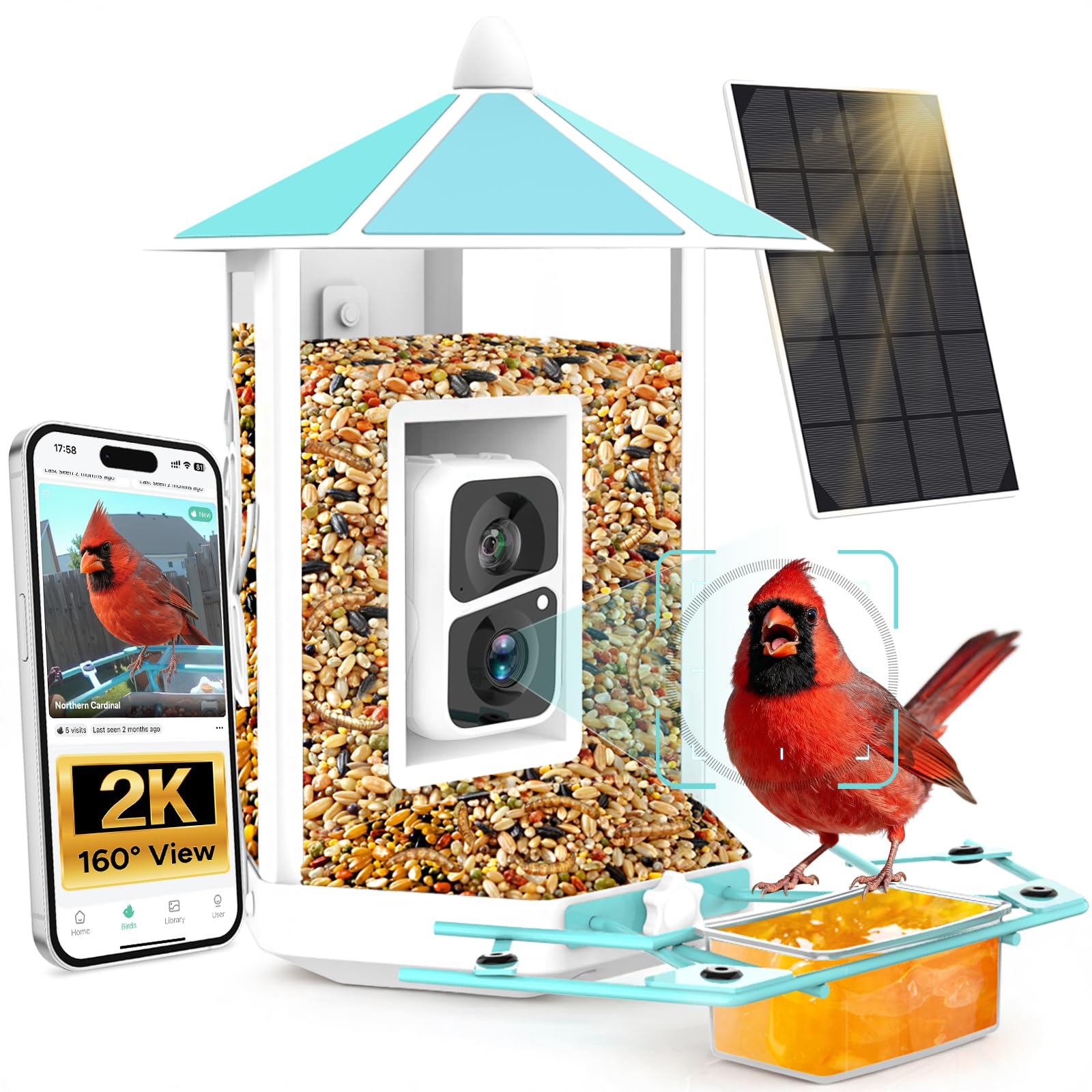 OnlyFly Bird Feeder Camera front view shows 2K clarity for close bird details.