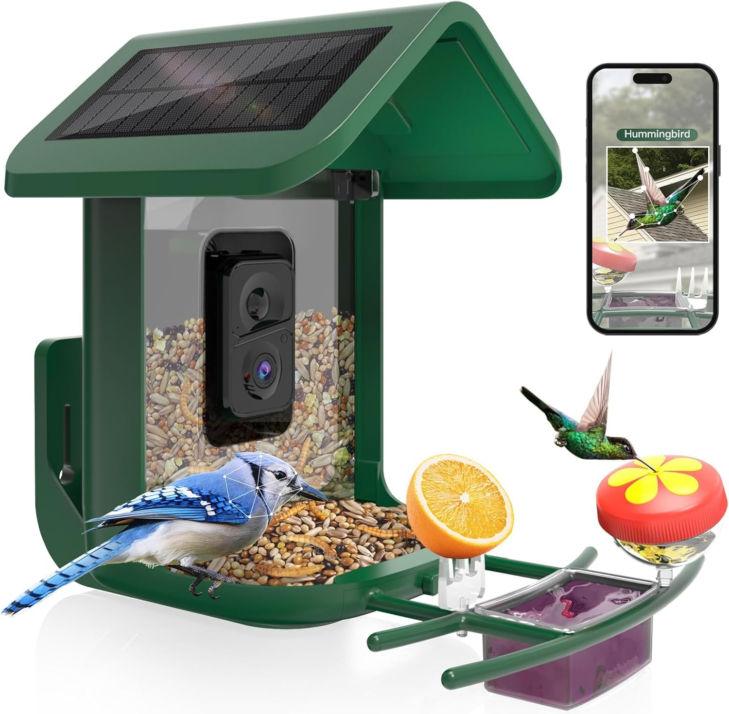 Onlyfly bird feeder with camera offering a 2K live feed of visiting birds for backyard observation.