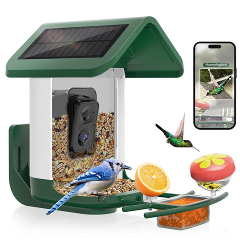 Onlyfly Bird Feeder Camera captures vivid bird colors and behaviors in 2K live feed