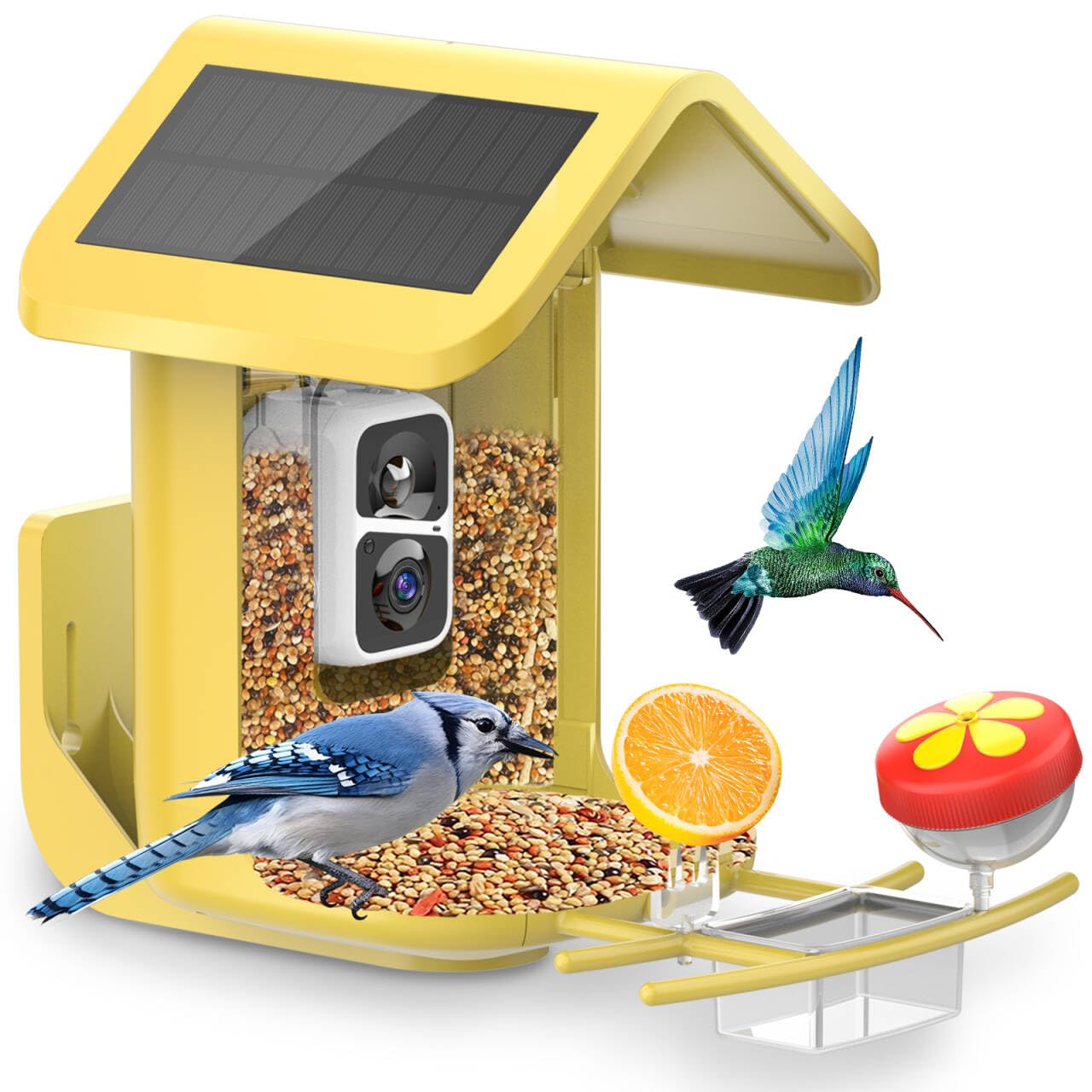 Onlyfly birdfeeder camera live 2K captures colorful birds at the feeder.