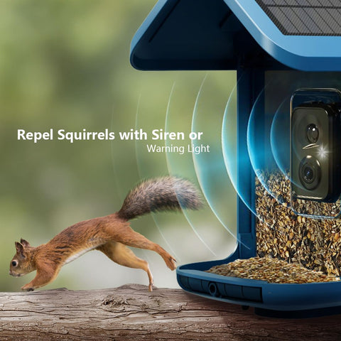 Onlyfly sharing app allows up to four viewers for live feeds.