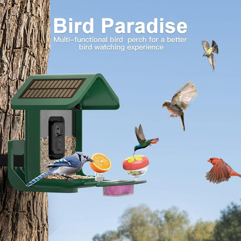 Onlyfly nectar, fruit, and jelly feeders attract a wider range of birds.