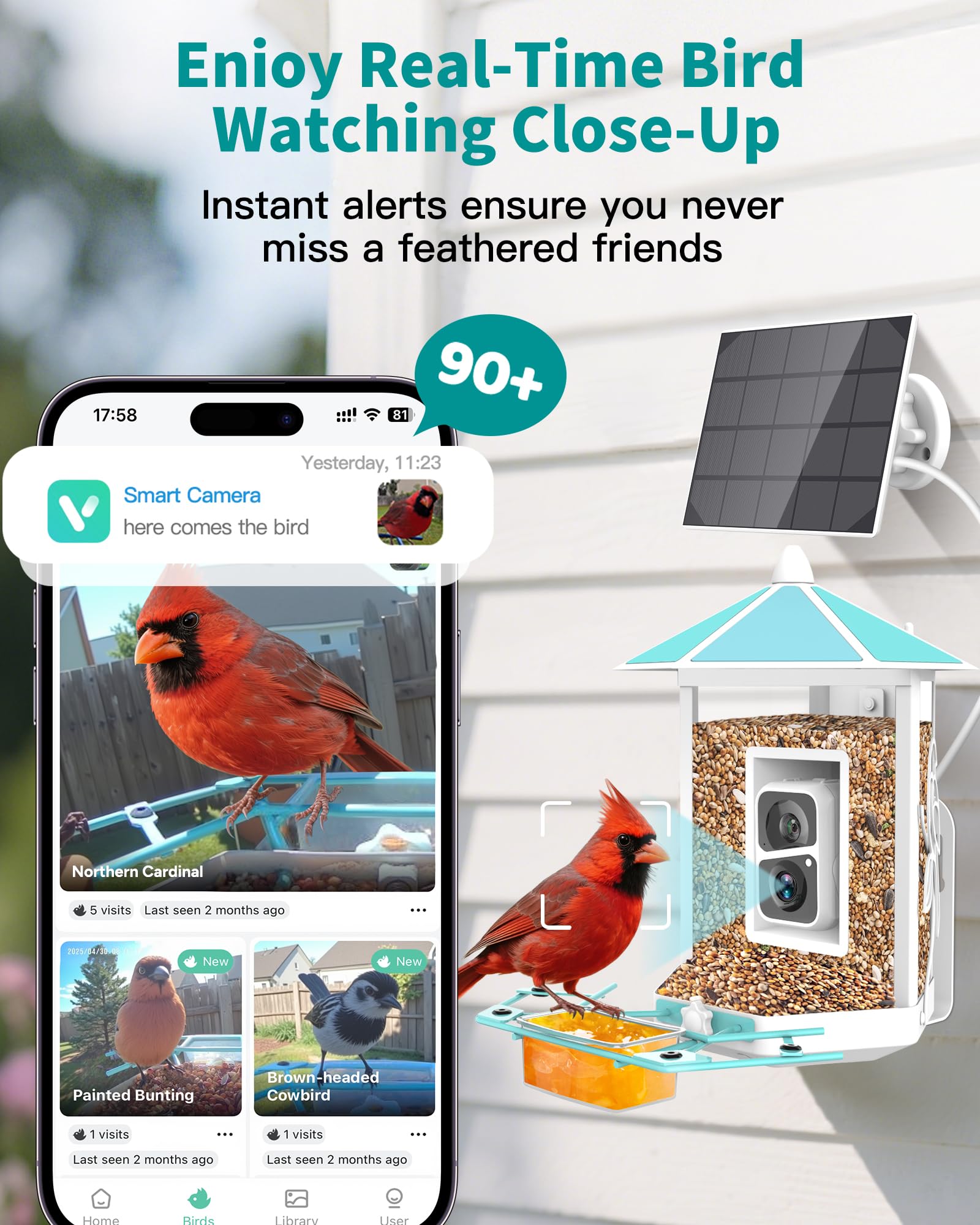 OnlyFly solar panel-bird feeder setup highlights long off-grid operation.