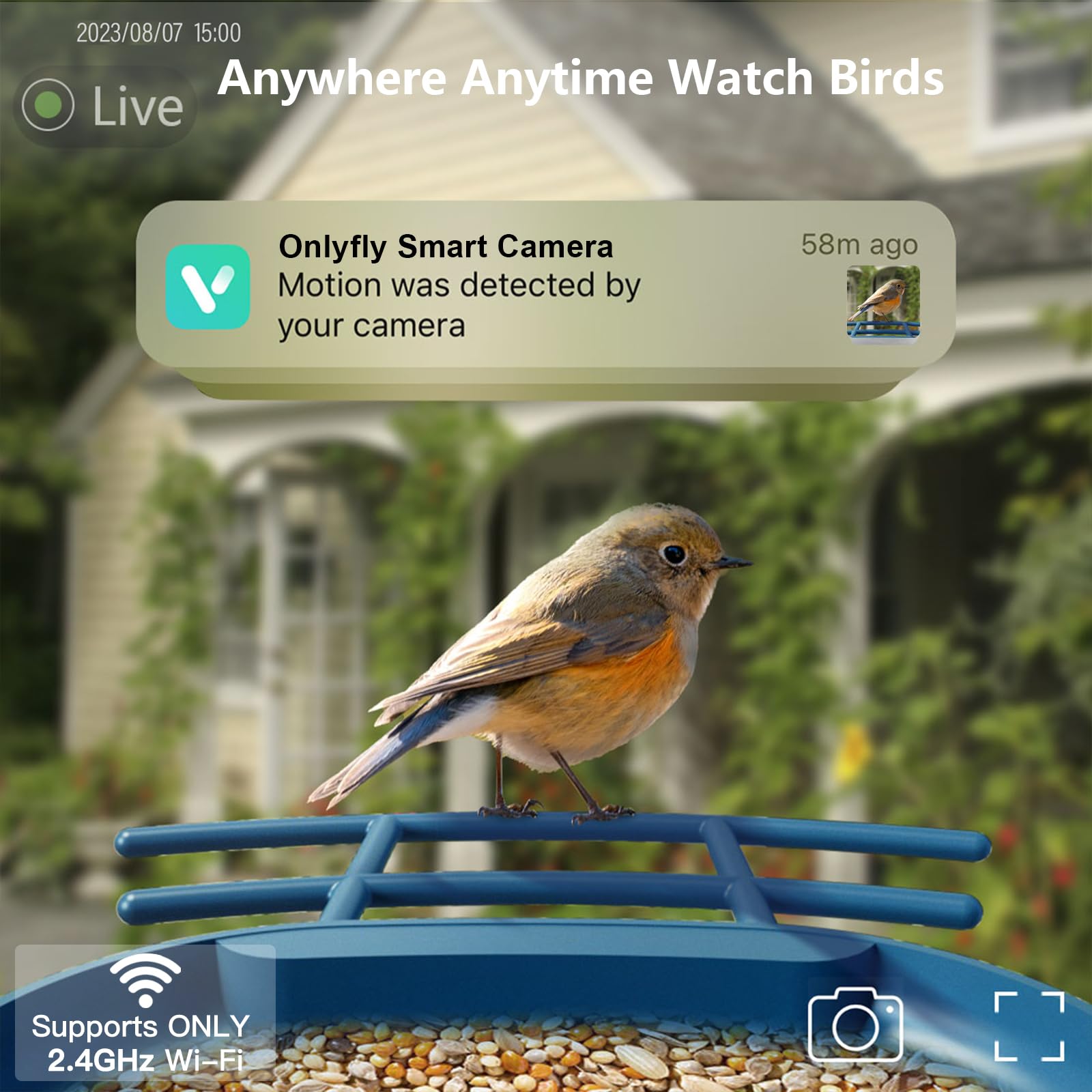 Onlyfly solar-powered feeder enables long, uninterrupted birdwatching with solar charging.
