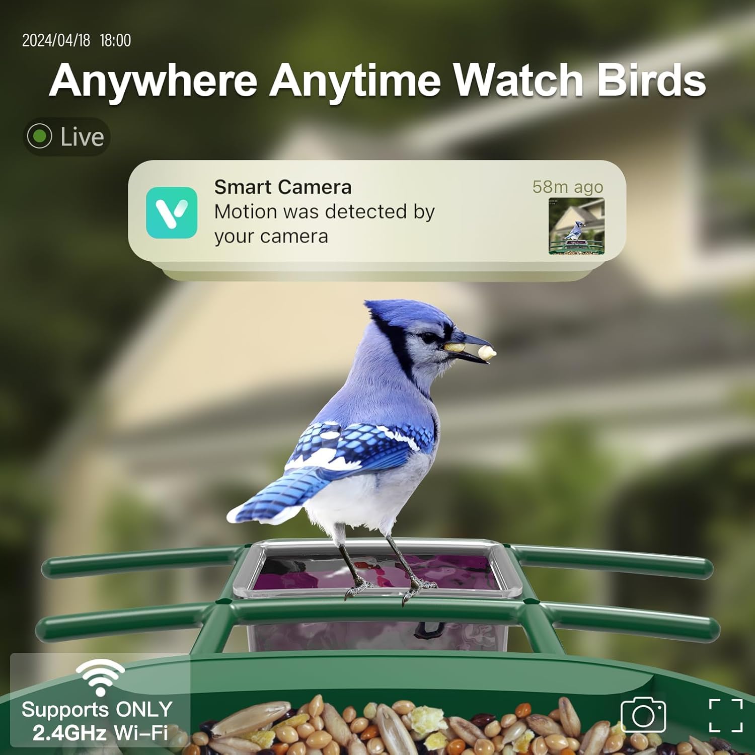 Onlyfly solar powered bird feeder providing maintenance-free energy for continuous viewing.
