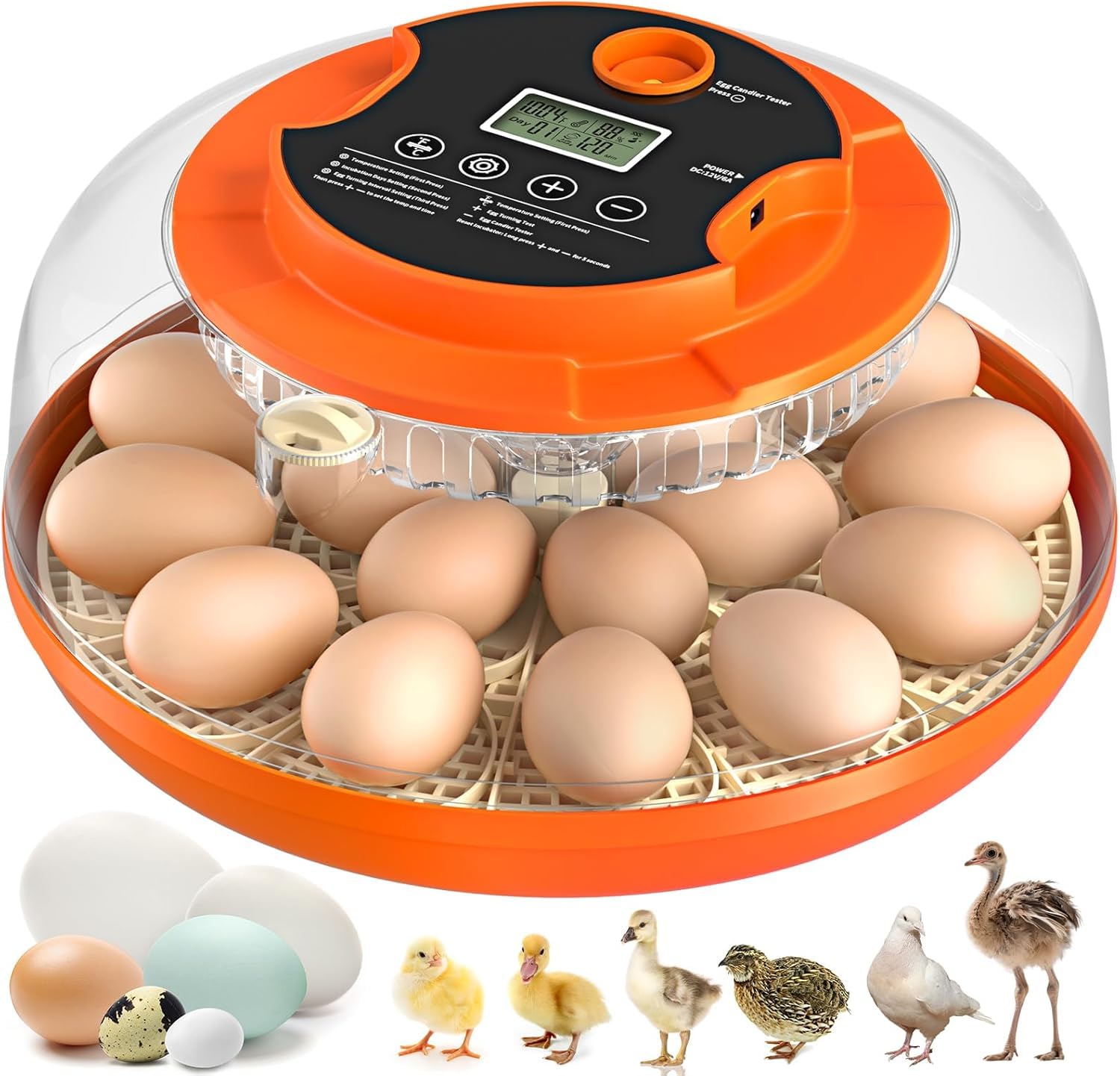 Onsju 18-egg incubator with digital control panel for precise settings