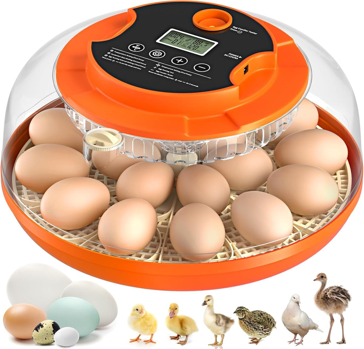 Onsju 18-egg incubator with digital control panel for precise settings