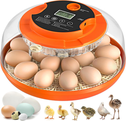Onsju 18-egg incubator with digital control panel for precise settings