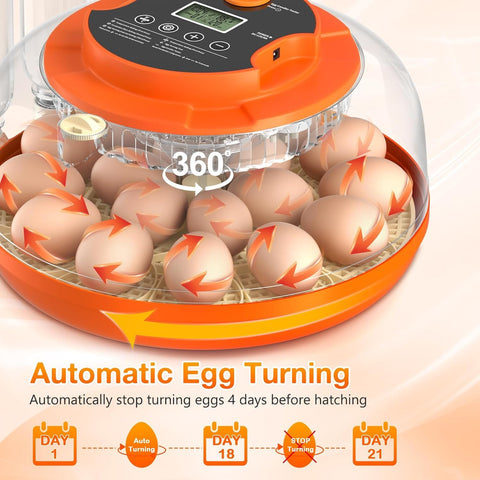 Onsju automatic egg turning at adjustable intervals for even heating