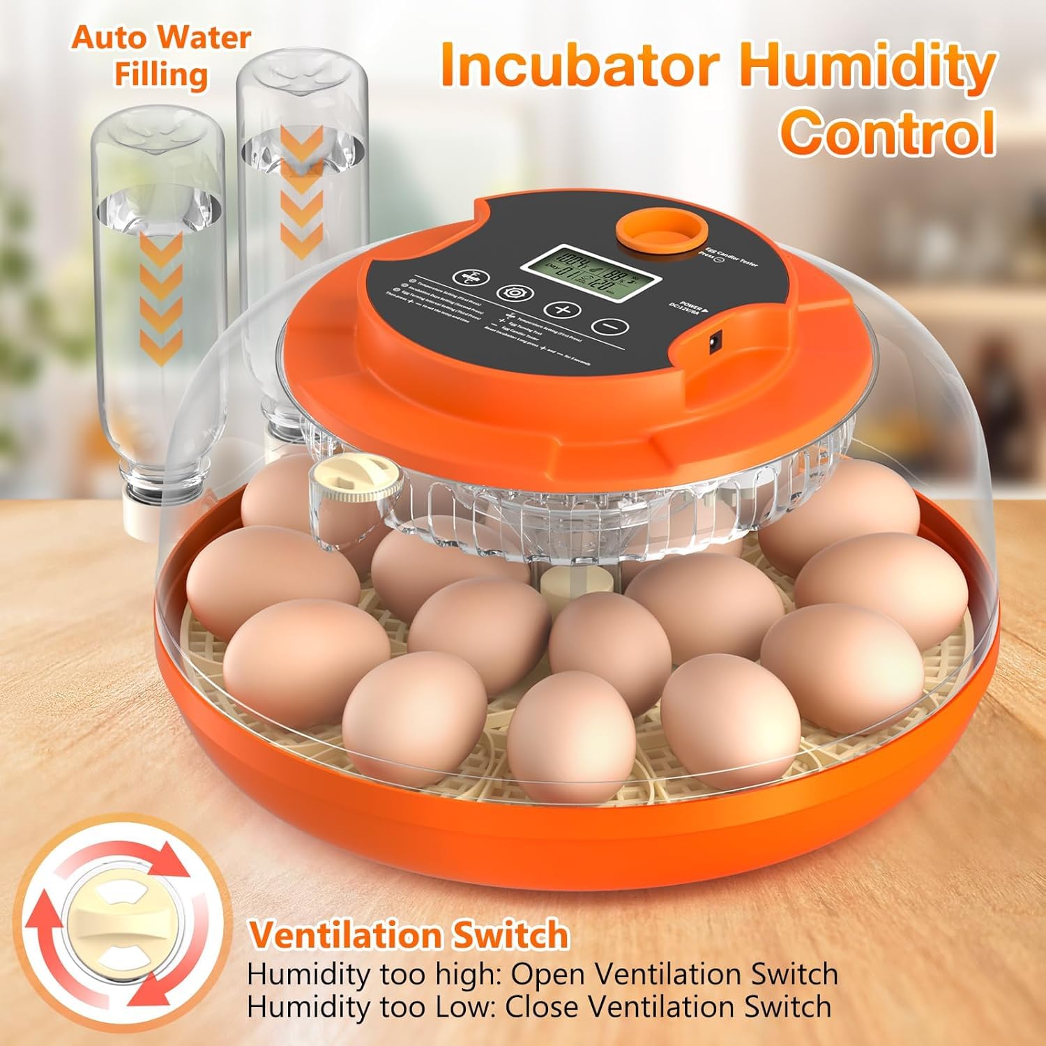 Onsju internal airflow system evenly distributes heat across eggs