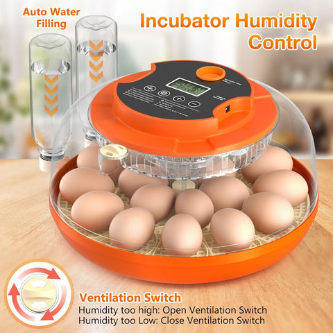Onsju internal airflow system evenly distributes heat across eggs