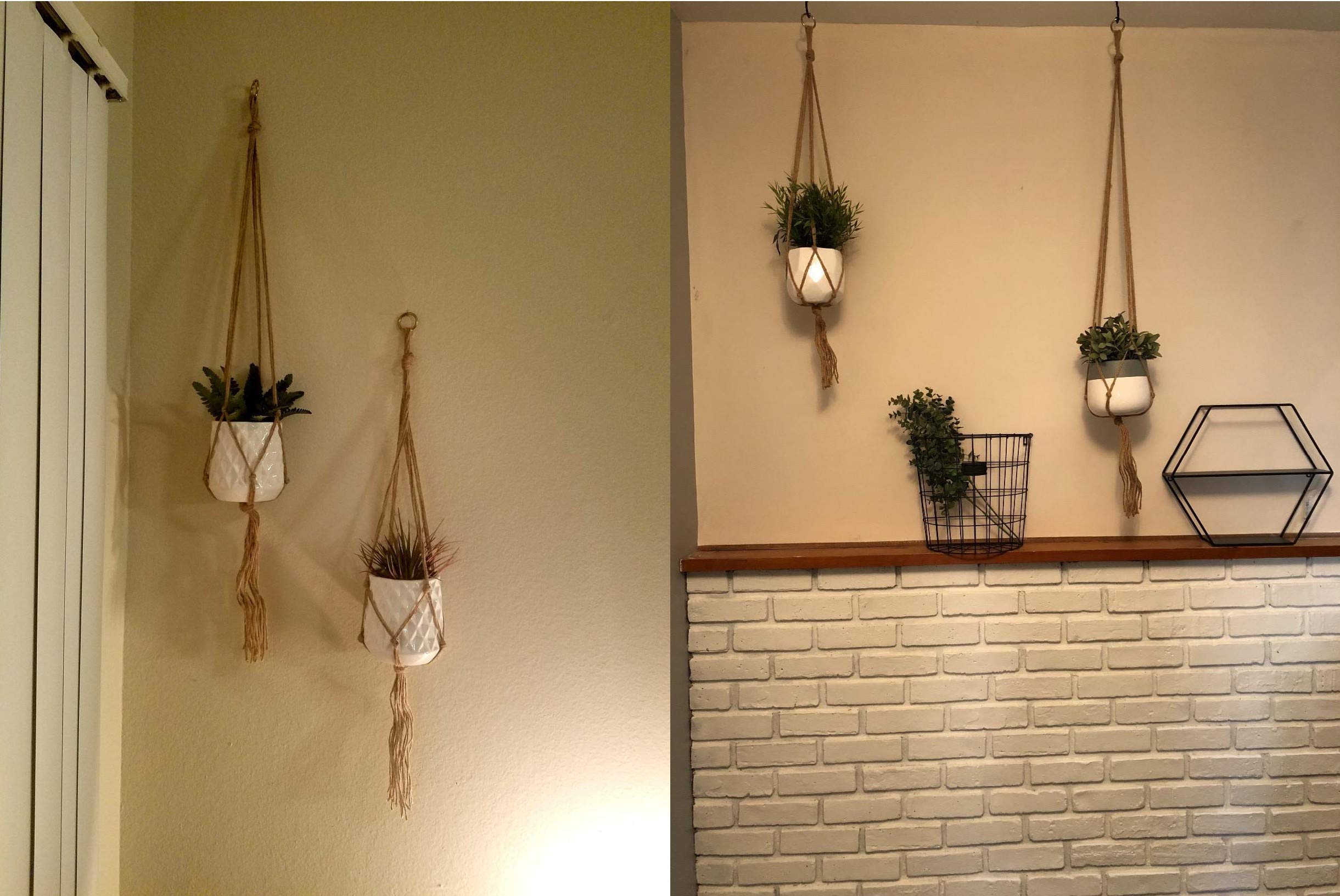 Onwon no plant or pot included, ready for your own setup.