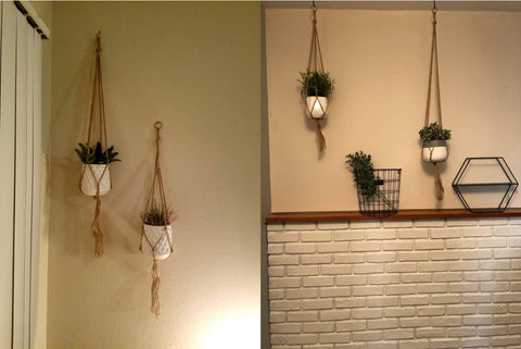 Onwon no plant or pot included, ready for your own setup.