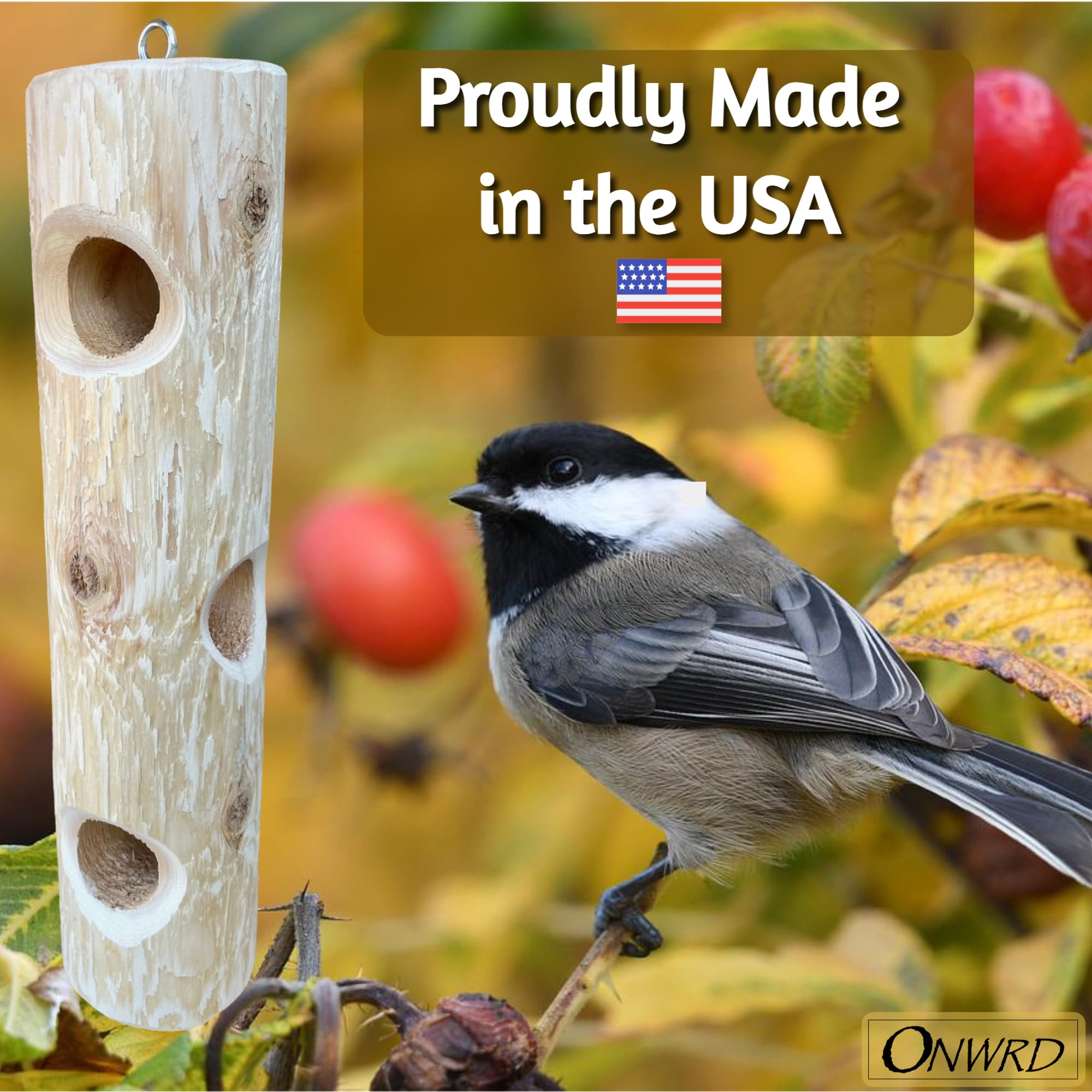 ONWRD versatile 16-inch design fits shaded spots for peaceful viewing.
