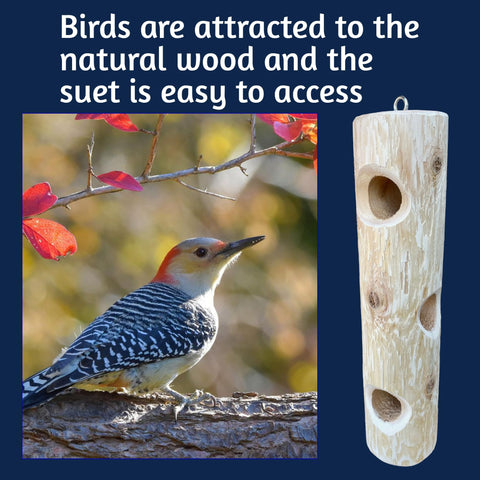 ONWRD backyard bird feeder invites perching and backyard viewing.