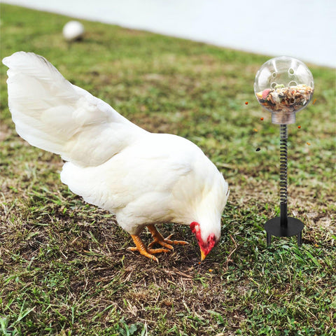 Oooct chicken pecking toy metal spring design adds durability