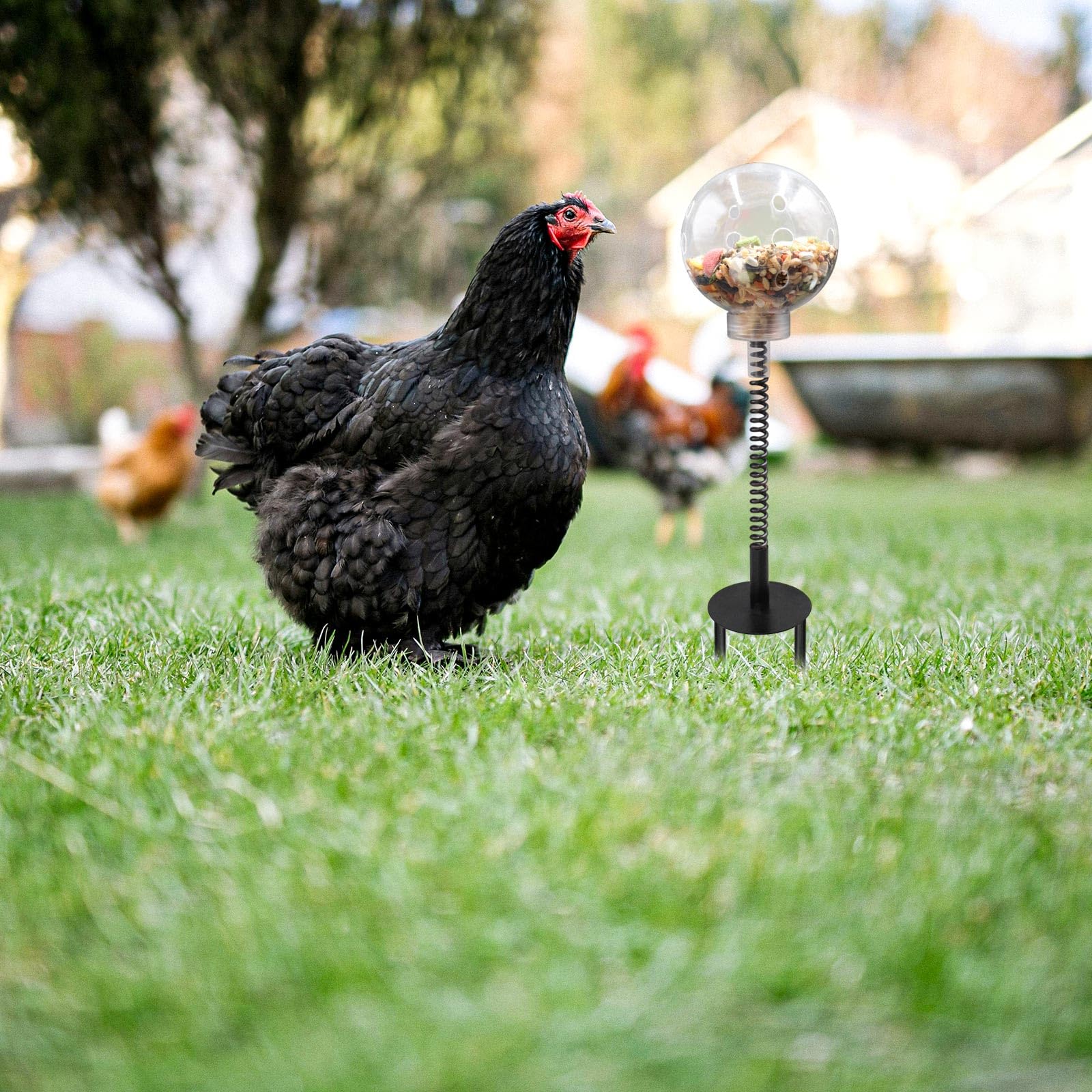 Oooct chicken pecking toy transparent food ball enables visible rewards