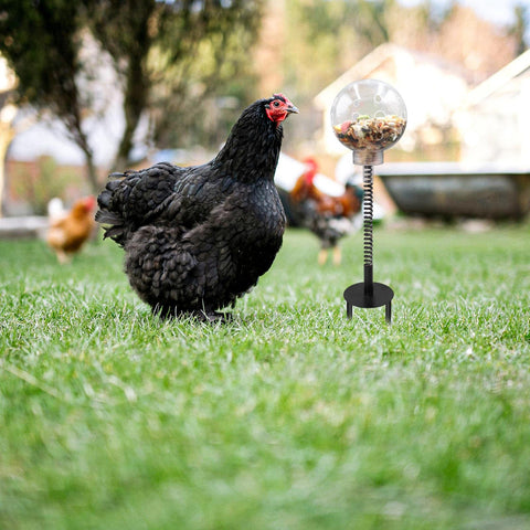 Oooct chicken pecking toy transparent food ball enables visible rewards