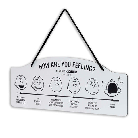 Open Road Brands Peanuts How Are You Feeling sign close-up reveals vibrant vintage artwork
