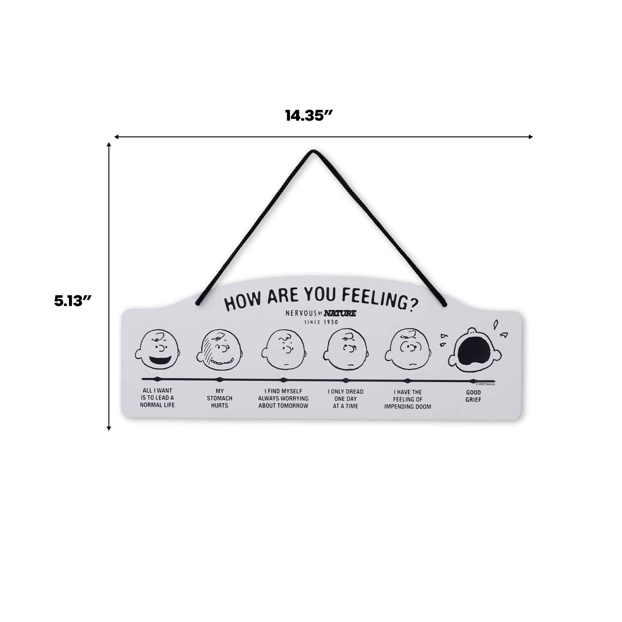 Open Road Brands Peanuts How Are You Feeling wall decor as a thoughtful gift idea