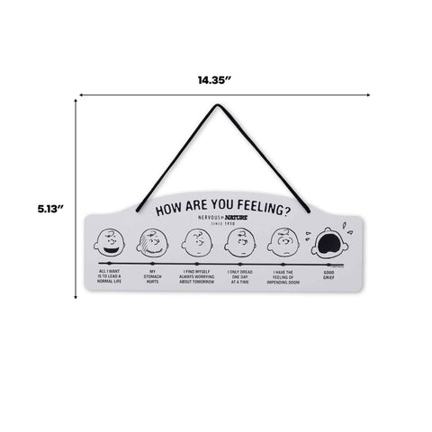 Open Road Brands Peanuts How Are You Feeling wall decor as a thoughtful gift idea