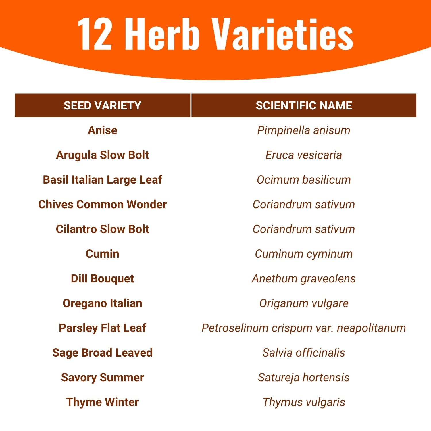 Open Seed Vault sage seeds for savory notes in roasts and stuffings.