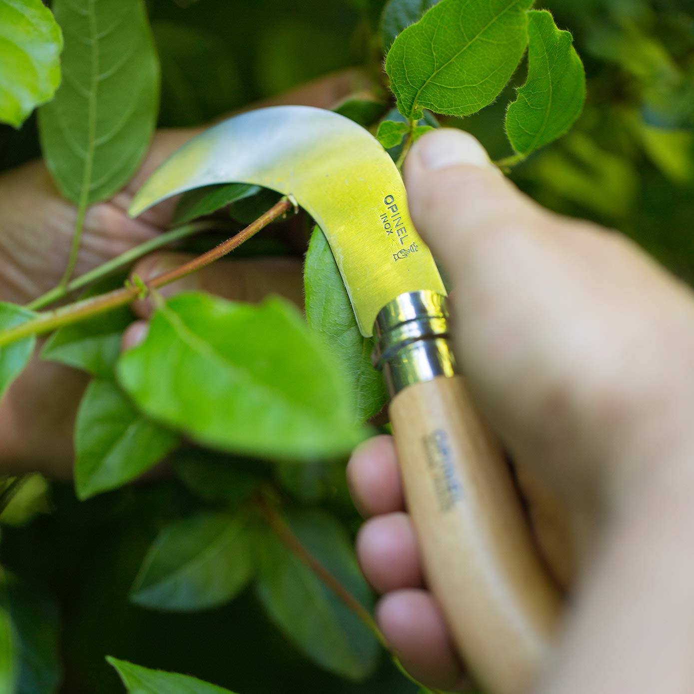 Opinel No. 10 pruning knife yatagan-style blade with classic look