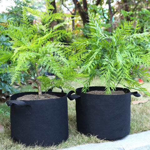 OPPOLIFE planting setup using bags demonstrates flexible container gardening