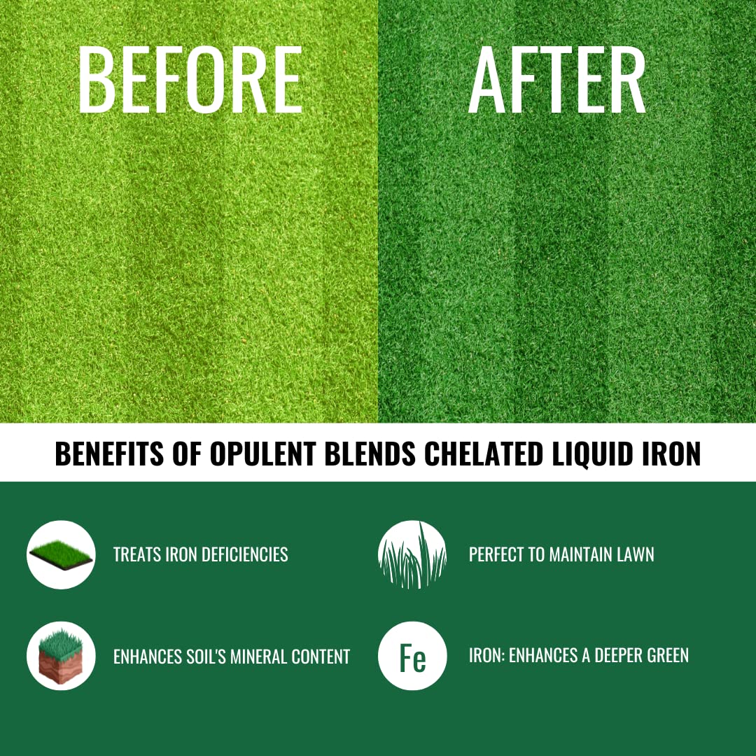 Opulent Blends chelated liquid iron on trees supports vibrant foliage and chlorophyll